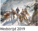 Wedstrijd 2019