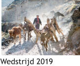 Wedstrijd 2019