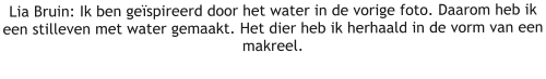 Lia Bruin: Ik ben geïspireerd door het water in de vorige foto. Daarom heb ik een stilleven met water gemaakt. Het dier heb ik herhaald in de vorm van een makreel.